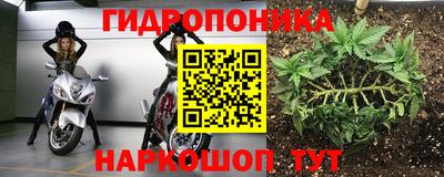 шишки Малгобек