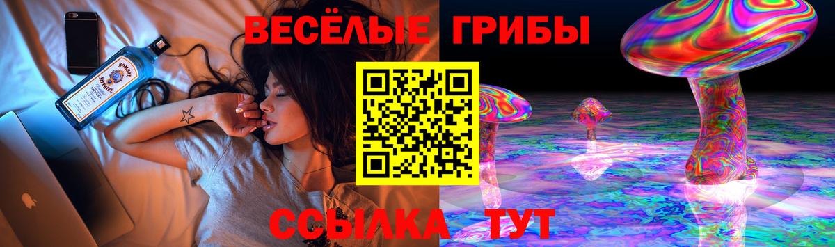 Воскресенск  Псилоцибиновые грибы GOLDEN TEACHER  Вход с VPN  Псилоцибиновые грибы Psilocybine cubensis 
